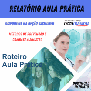 Relatório Aula Prática - MÉTODOS DE PREVENÇÃO E COMBATE A SINISTRO