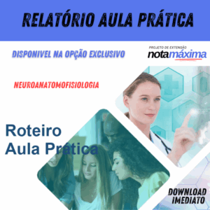 Relatório Aula Prática - NEUROANATOMOFISIOLOGIA